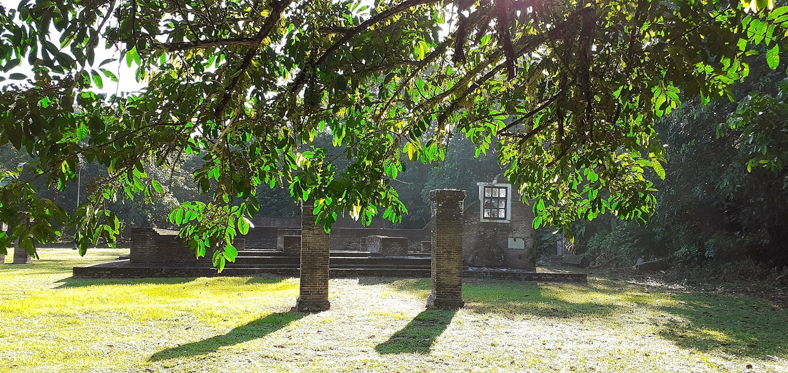 Jodensavanne UNESCO-erfgoed